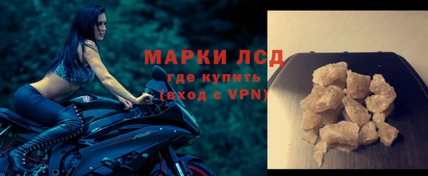 spice Богданович