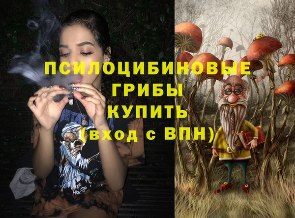 синтетический гашиш Богородицк