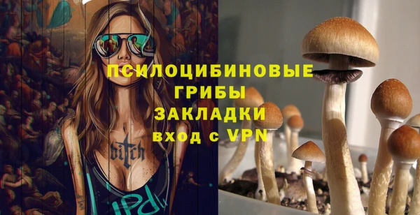 spice Богданович
