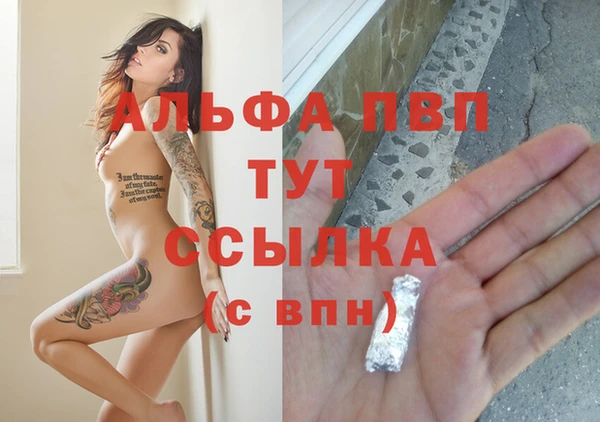 spice Богданович