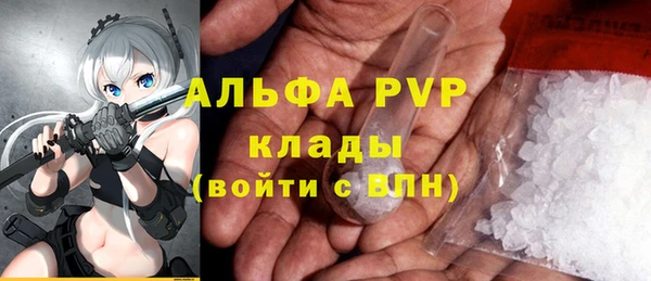 spice Богданович